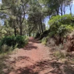 2021 06 26 15 19 32 pacom El Refugio - Mola del Morico - Coll de la Mola - El Refugio