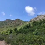 2021 06 26 15 27 55 pacom El Refugio - Mola del Morico - Coll de la Mola - El Refugio