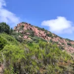 2021 06 26 15 53 50 pacom El Refugio - Mola del Morico - Coll de la Mola - El Refugio