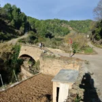 2021 12 07 10 07 55 paco