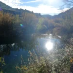 2021 12 07 10 17 18 paco
