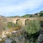 2021 12 07 10 41 21 paco