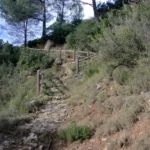 2021 12 07 11 27 06 paco