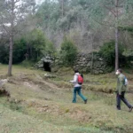 11 2021 12 11 12 29 43 paco