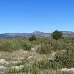 2022 04 02 09 40 38 pacom Les Useres - Xodos