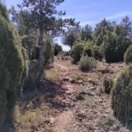 2022 04 02 12 53 22 pacom