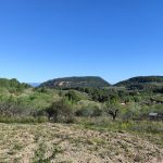 Borriol - la Pedra - roca de la Dama - Borriol 19 2022 04 25 09 16 25 pacom Borriol - la Pedra - roca de la Dama - Borriol