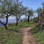 Borriol - la Pedra - roca de la Dama - Borriol 20 2022 04 25 09 19 42 pacom Borriol - la Pedra - roca de la Dama - Borriol