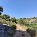 Borriol - la Pedra - roca de la Dama - Borriol 14 2022 07 15 17 19 15 pacom Borriol - la Pedra - roca de la Dama - Borriol