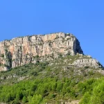 14 2022 10 12 10 39 28 paco P