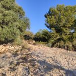 Roca de Migdia - Raca - Font de la Salut - Roca de Migdia 6 2023 03 05 08 38 14 pacom Roca de Migdia - Raca - Font de la Salut - Roca de Migdia
