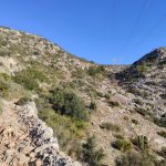 Roca de Migdia - Raca - Font de la Salut - Roca de Migdia 9 2023 03 05 08 53 07 pacom Roca de Migdia - Raca - Font de la Salut - Roca de Migdia