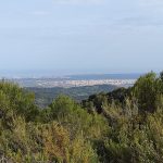 Borriol - la Pedra - roca de la Dama - Borriol 12 2023 05 27 18 28 25 pacom Borriol - la Pedra - roca de la Dama - Borriol