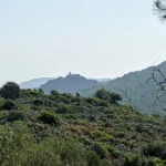 2023 07 08 10 25 36 pacom