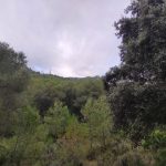 Les Santes - Bartolo - Les Santes 7 2023 07 16 08 20 37 pacom Les Santes - Bartolo - Les Santes