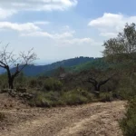 2023 09 09 13 08 52 pacom Castellón - Vilafamés