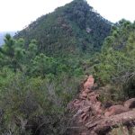 El Refugio - Mola del Morico - Coll de la Mola - El Refugio 19 2023 11 04 08 42 11 pacom El Refugio - Mola del Morico - Coll de la Mola - El Refugio