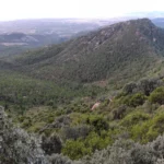 2023 11 04 08 50 47 pacom P El Refugio - Mola del Morico - Coll de la Mola - El Refugio