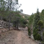 2024 01 02 09 38 38 pacom