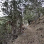 2024 01 02 09 45 19 pacom