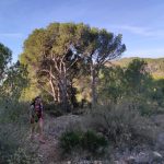 Roca de Migdia - Raca - Font de la Salut - Roca de Migdia 4 2024 03 17 08 25 13 pacom Roca de Migdia - Raca - Font de la Salut - Roca de Migdia