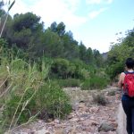 La Vall d'Uixó - Alt de Pipa - Font de Garrut - La Vall d'Uixó 2 2024 06 02 08 54 07 paco La Vall d'Uixó - Alt de Pipa - Font de Garrut - La Vall d'Uixó