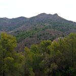 La Vall d'Uixó - Alt de Pipa - Font de Garrut - La Vall d'Uixó 3 2024 06 02 09 09 19 paco La Vall d'Uixó - Alt de Pipa - Font de Garrut - La Vall d'Uixó