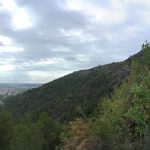 La Vall d'Uixó - Alt de Pipa - Font de Garrut - La Vall d'Uixó 4 2024 06 02 09 22 06 paco P La Vall d'Uixó - Alt de Pipa - Font de Garrut - La Vall d'Uixó