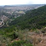 La Vall d'Uixó - Alt de Pipa - Font de Garrut - La Vall d'Uixó 5 2024 06 02 09 27 45 paco La Vall d'Uixó - Alt de Pipa - Font de Garrut - La Vall d'Uixó
