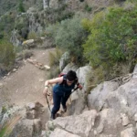 6 2024 06 02 09 33 42 paco rotated