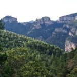 Travesia 17 2024 06 23 09 10 07 paco Travesia