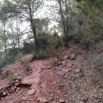 Corral de Miravet - Castell de Miravet - Corral de Miravet 2 2024 07 14 07 58 23 pacom Corral de Miravet - Castell de Miravet - Corral de Miravet