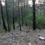 Sant Joan de Penyagolosa - Pico de Penyagolosa por barranc de la Pegunta 25 2024 08 02 21 08 29 paco Sant Joan de Penyagolosa - Pico de Penyagolosa por barranc de la Pegunta