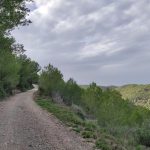 Borriol - la Pedra - roca de la Dama - Borriol 7 2024 10 06 18 05 36 pacom 02 Borriol - la Pedra - roca de la Dama - Borriol