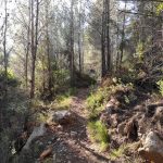 Borriol - la Pedra - roca de la Dama - Borriol 3 2024 12 15 09 28 47 pacom Borriol - la Pedra - roca de la Dama - Borriol