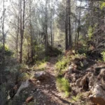 Borriol - la Pedra - roca de la Dama - Borriol 3 2024 12 15 09 28 47 pacom rotated Borriol - la Pedra - roca de la Dama - Borriol