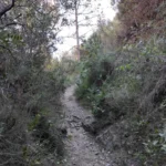2025 01 12 13 22 17 pacom