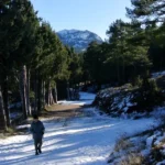 15 2025 01 19 15 41 00 paco M