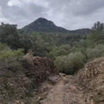 2025 01 25 09 22 29 pacom Castelló - Les Useres