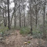 2025 01 25 11 14 40 pacom Castelló - Les Useres