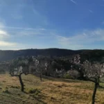 2025 02 15 09 03 04 pacom Les Useres-Sant Joan de Penyagolosa
