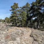 2025 02 15 11 50 35 pacom Les Useres-Sant Joan de Penyagolosa