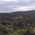 2025 03 16 11 17 00 pacom Xodos - Sant Joan de Penyagolosa - Sant Miquel de les Torrocelles - Xodos