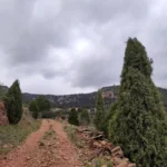 2025 03 16 11 46 47 pacom Xodos - Sant Joan de Penyagolosa - Sant Miquel de les Torrocelles - Xodos