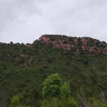 2025 06 01 17 52 25 pacom El Refugio - Mola del Morico - Coll de la Mola - El Refugio