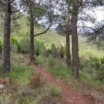 8 2025 06 01 18 27 52 pacom