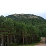 Sant Joan de Penyagolosa - Pico de Penyagolosa por barranc de la Pegunta 17 2025 06 21 20 55 49 paco Sant Joan de Penyagolosa - Pico de Penyagolosa por barranc de la Pegunta