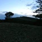 2025 06 21 22 05 15 paco