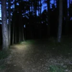 2025 06 21 22 20 38 paco