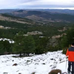 2026 01 02 11 13 28 paco P